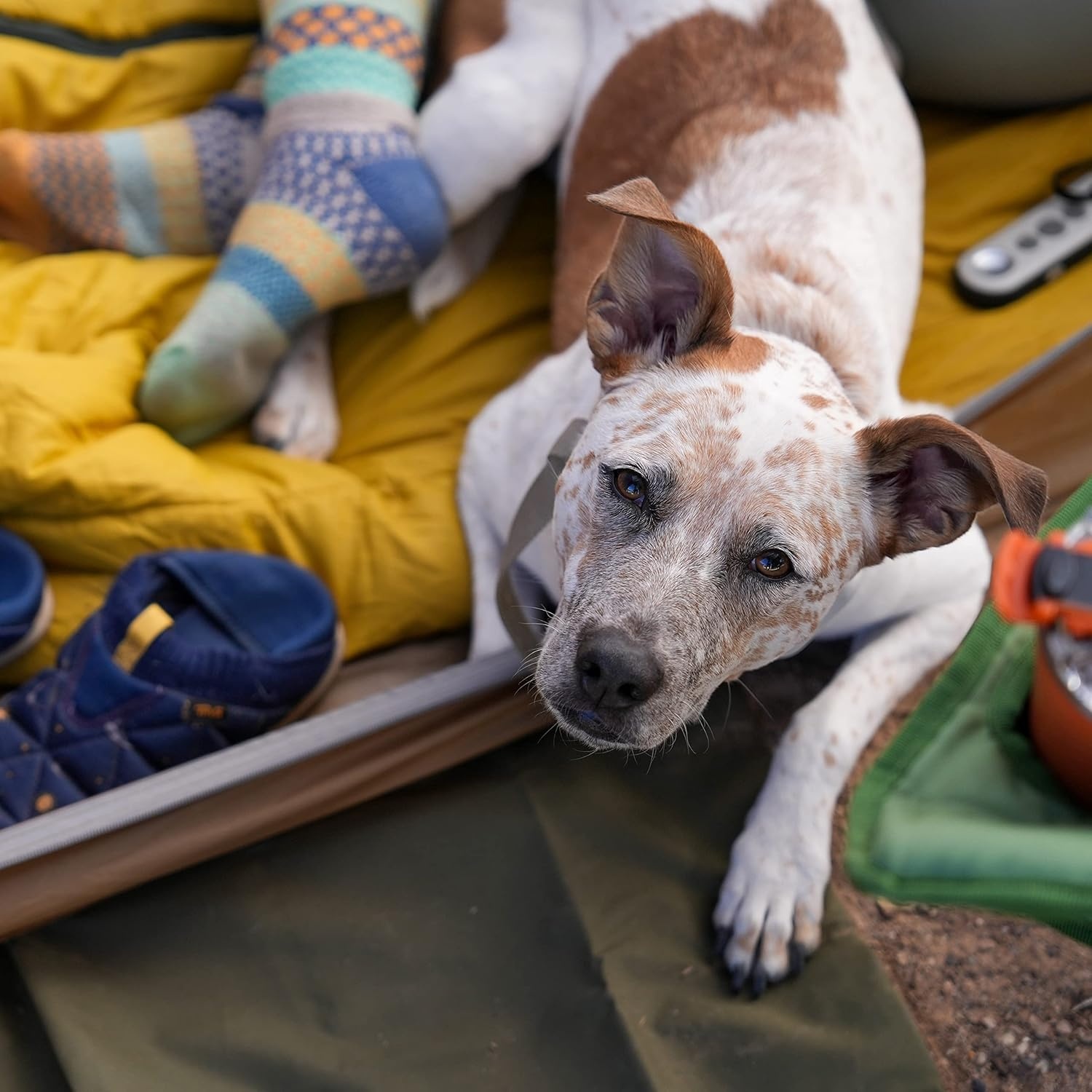 image:imageKelty Caboose 4P Tent Footprint FP Only Protects Tent Floor from Wear and Tear