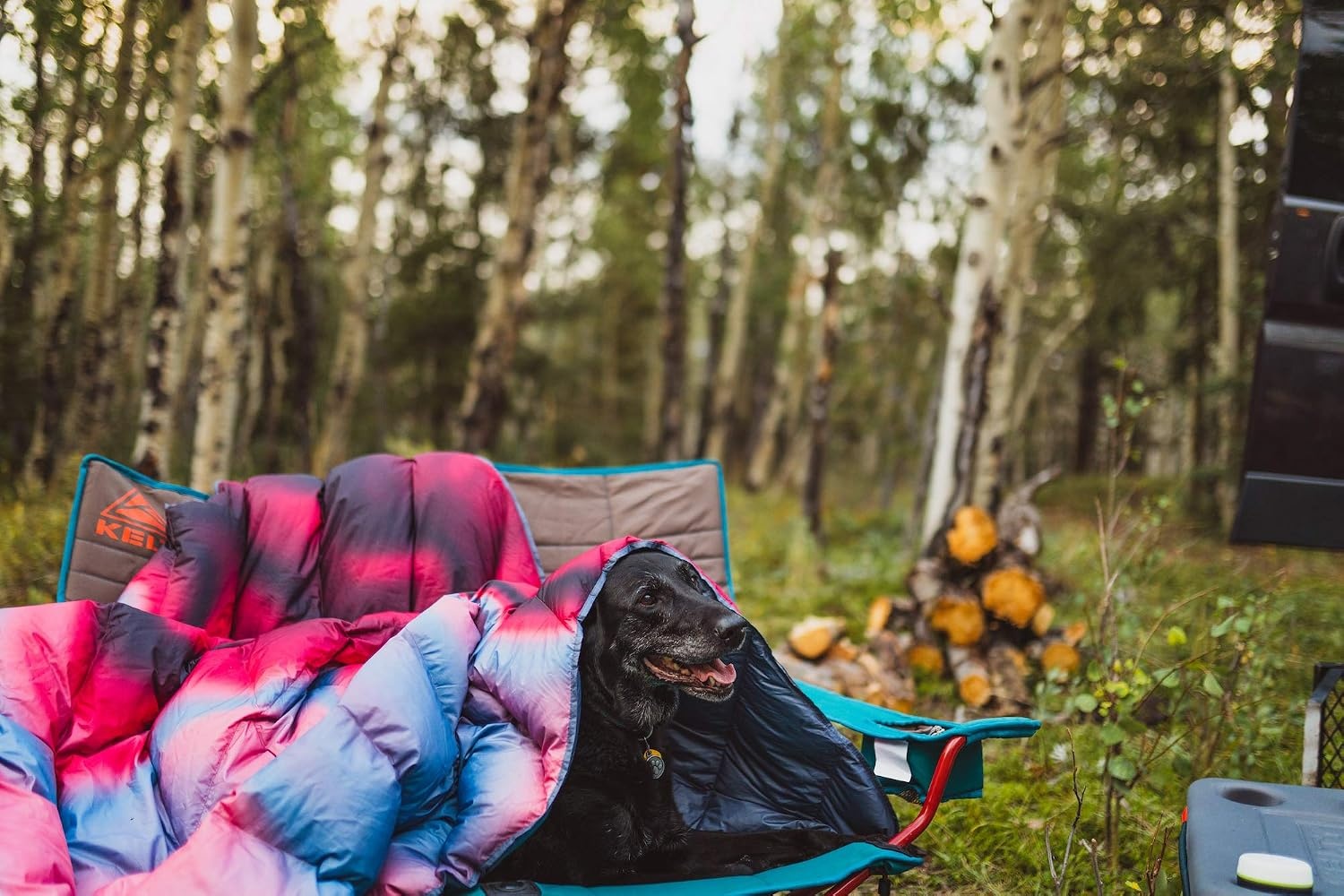 image:imageKelty Galactic Down Blanket Outdoor Indoor camping picnic beach and concert blanketCranberry