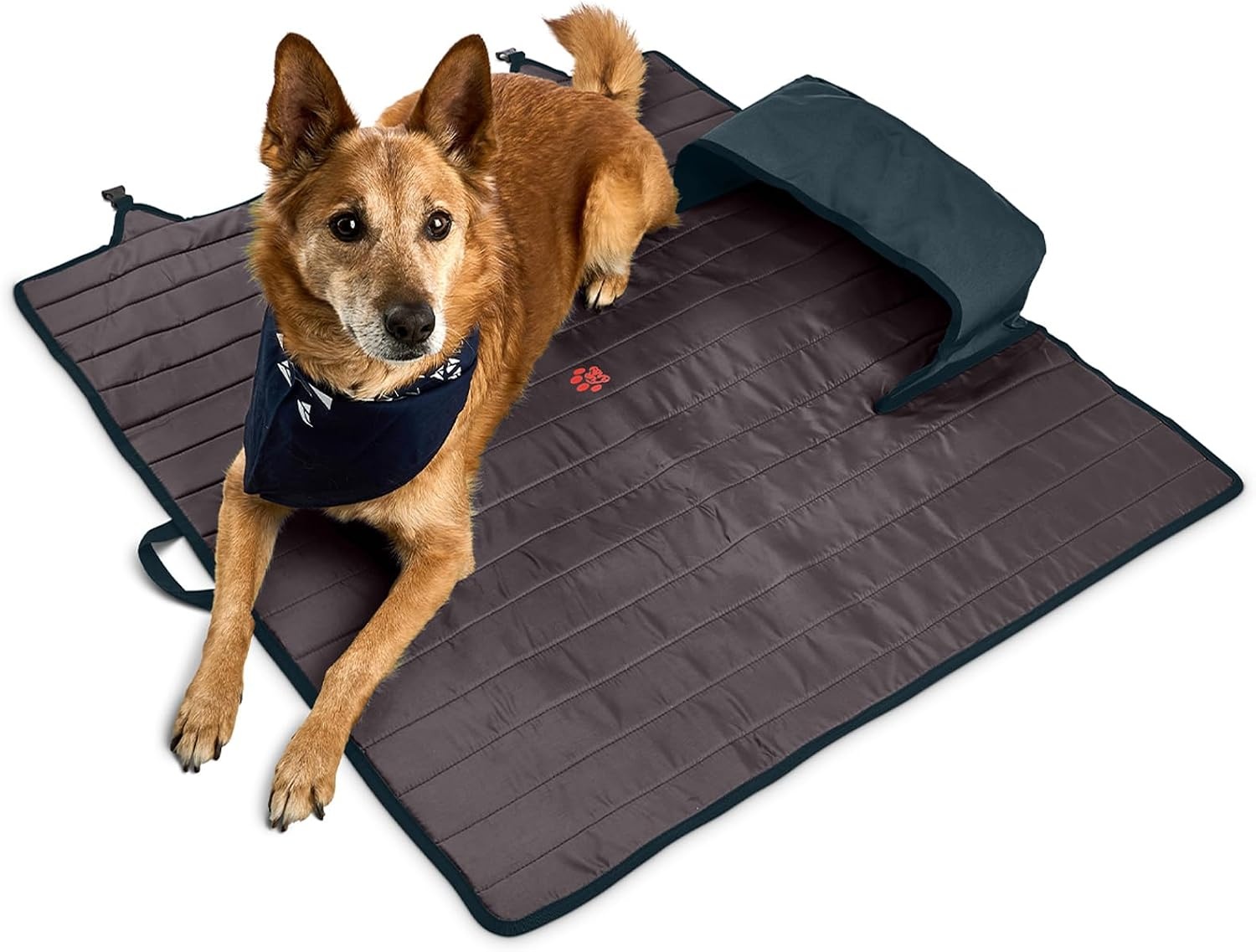 image:imageKelty Lowdown Couch 3 Person Capacity Camping Chair Extra Large and Sturdy Bench for Campsites Soccer Games and Backyard PartiesDark Shadow Midnight Navy
