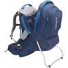 Insignia Blue
